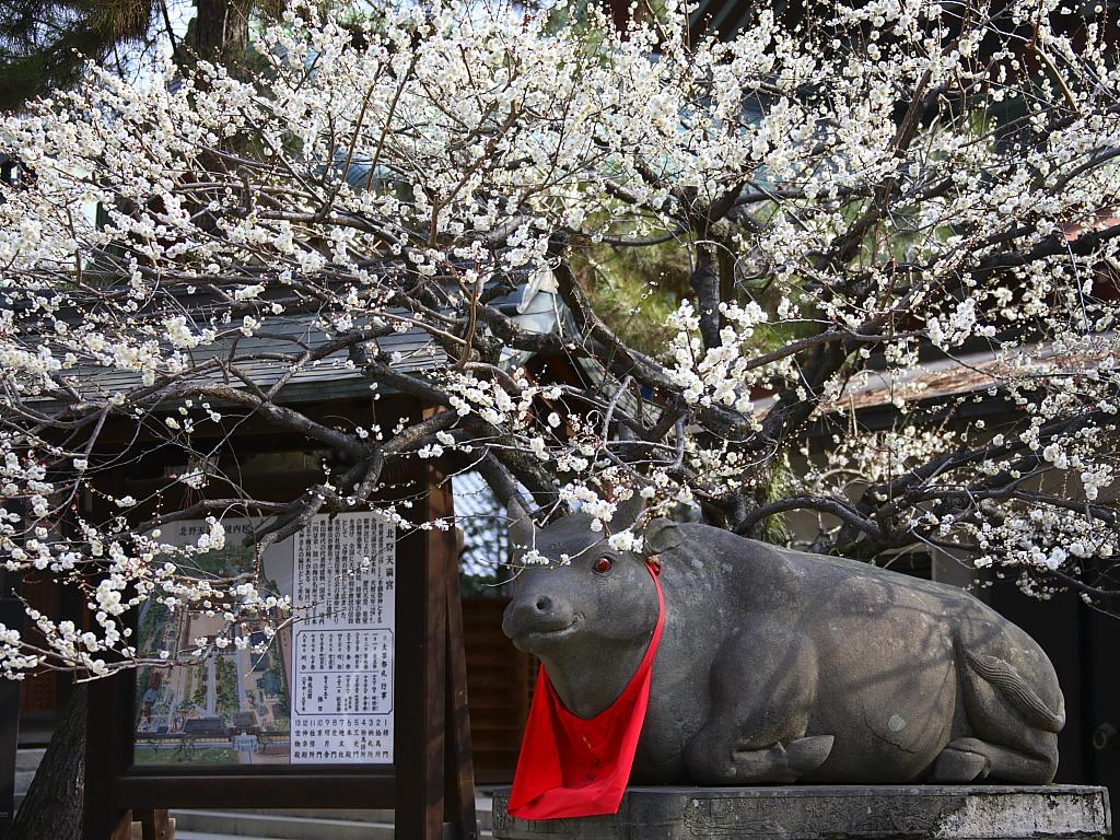 Guesthouse Iloha Kyoto Luaran gambar