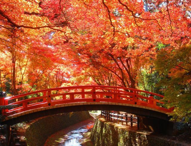 Guesthouse Iloha Kyoto Luaran gambar